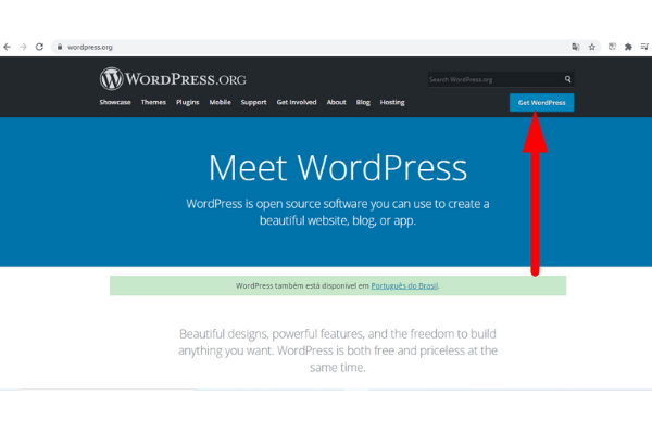 Como Fazer Download dos Arquivos do WordPress